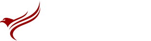 Stephen Gentles – IT Consultant
